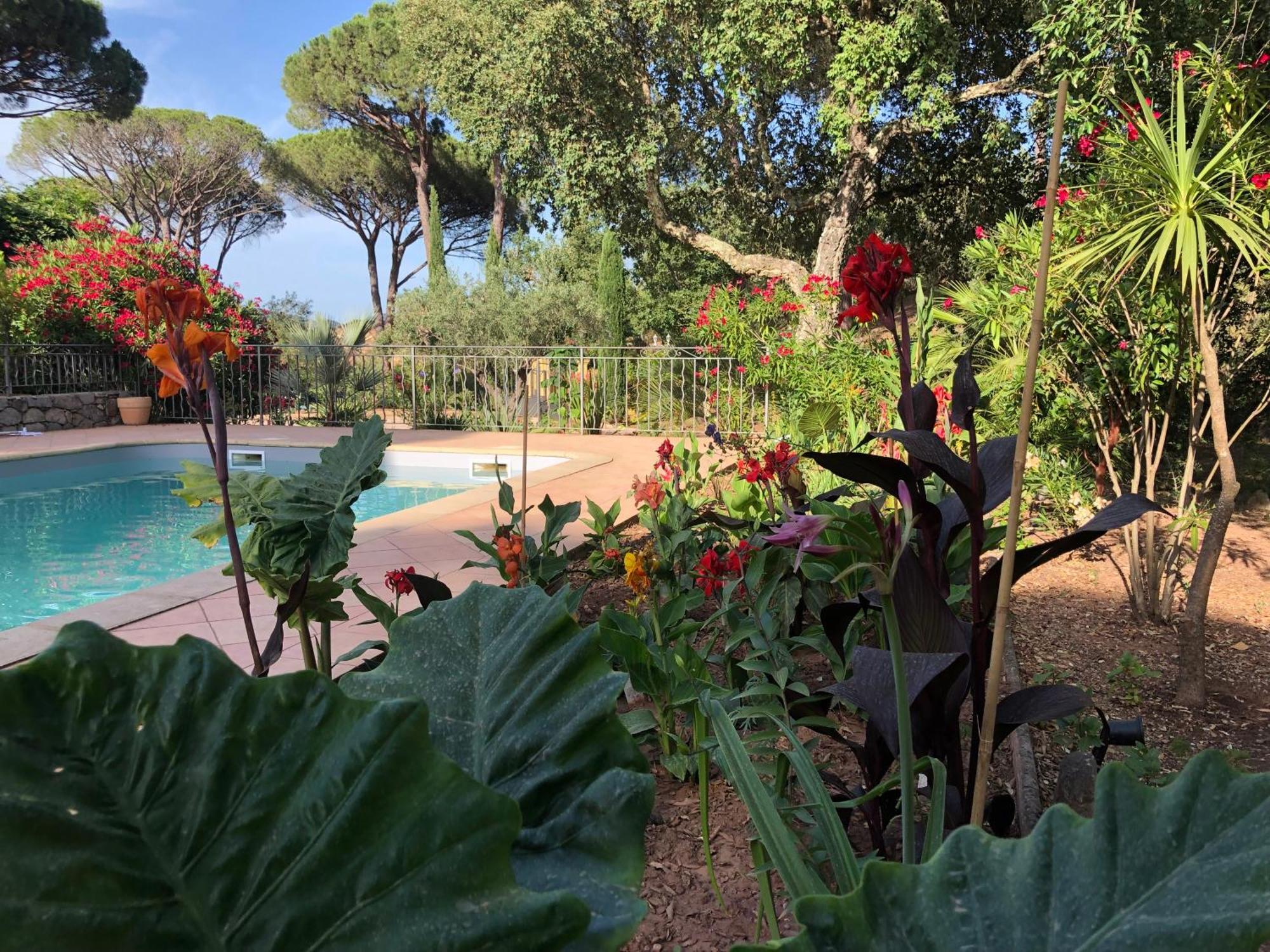 Sous Les Pins Parasols Vidauban Exterior foto