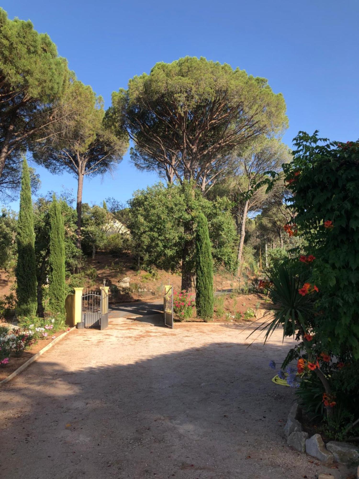 Sous Les Pins Parasols Vidauban Exterior foto