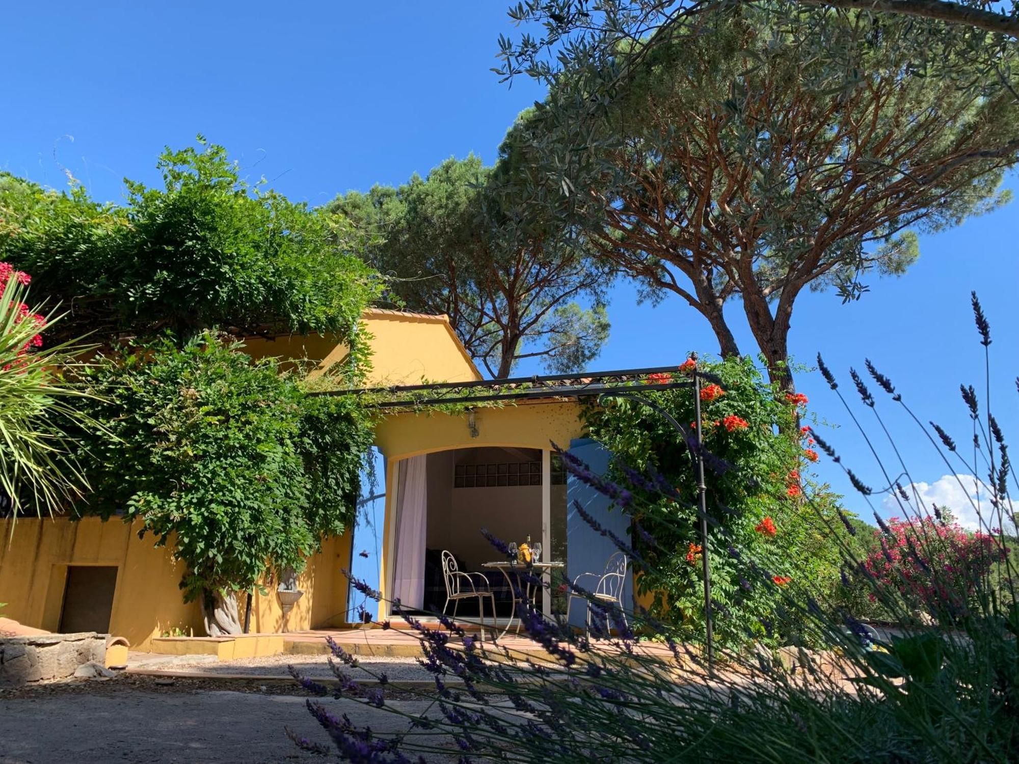 Sous Les Pins Parasols Vidauban Exterior foto