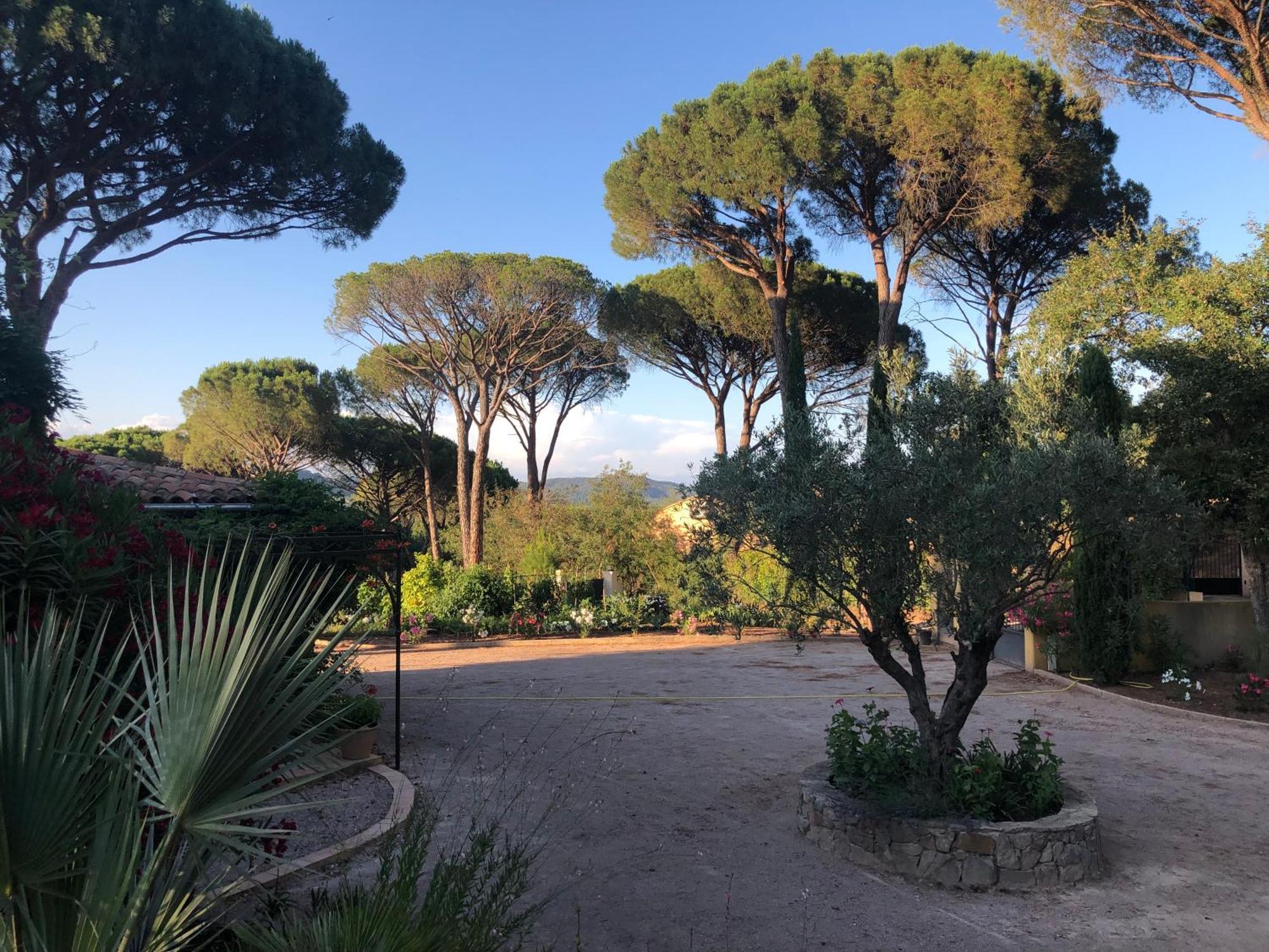 Sous Les Pins Parasols Vidauban Exterior foto