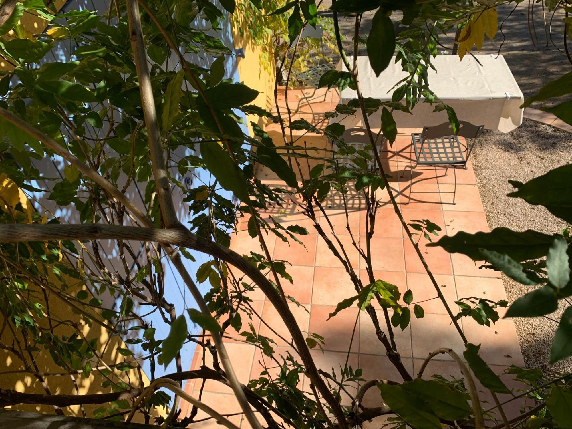 Sous Les Pins Parasols Vidauban Exterior foto
