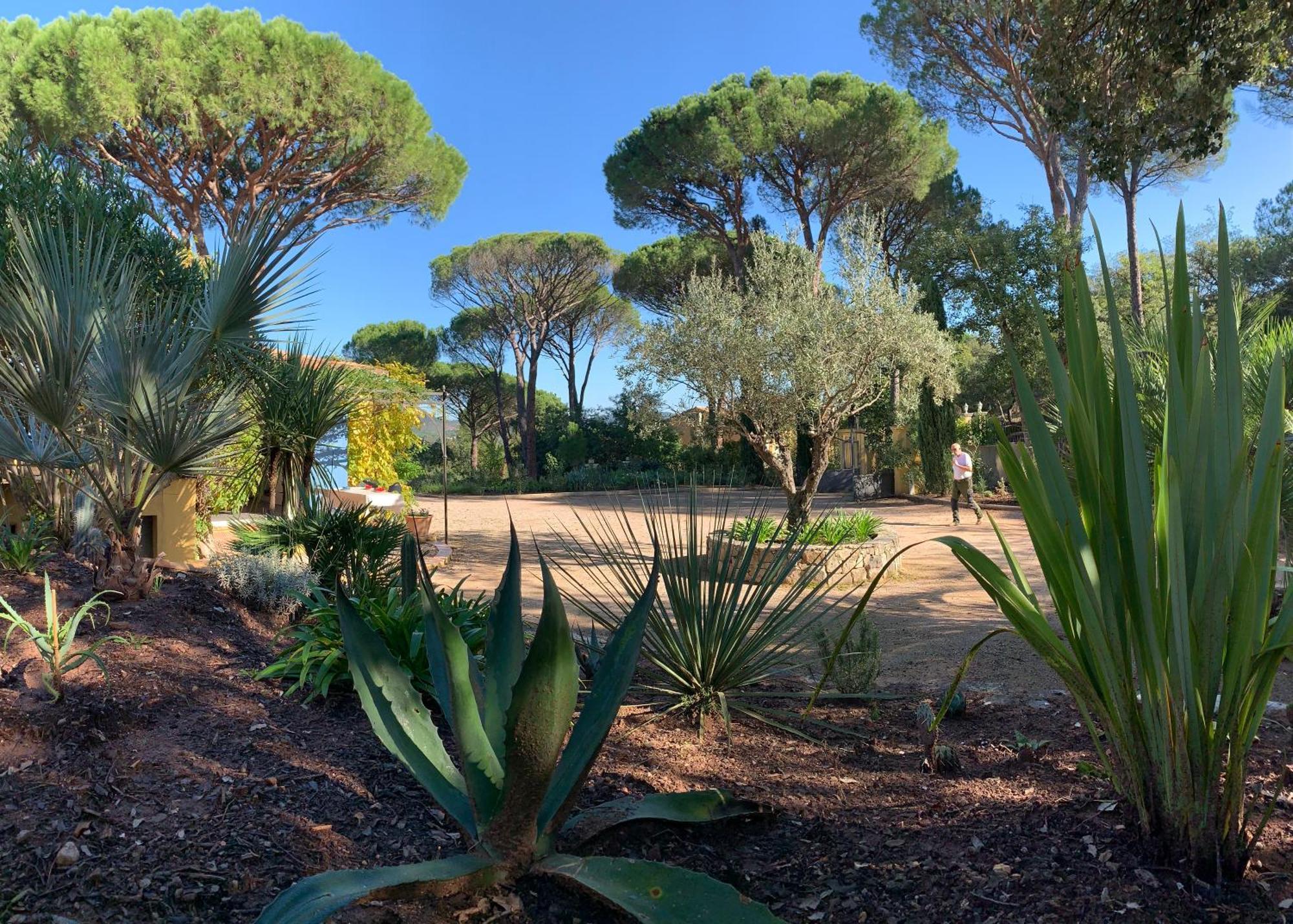 Sous Les Pins Parasols Vidauban Exterior foto